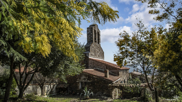 Village paisible de Casefabre