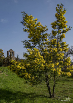 Sérénité au soleil