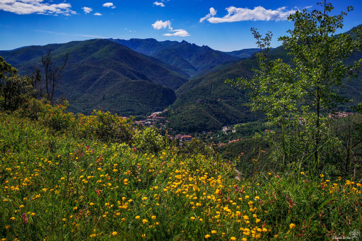 Depuis la route qui grimpe à Montbolo, la vue sur les Gorges du Mondony, et le Roc Saint-Sauveur à la lisière de l'Espagne