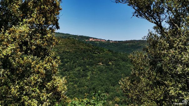 Dans la descente, vue sur Taulis