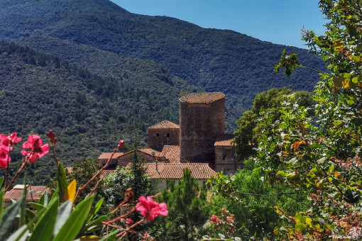 Tour et clocher de Palalda