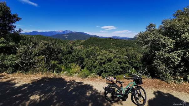 Montbolo au loin sur les contreforts du Canigou