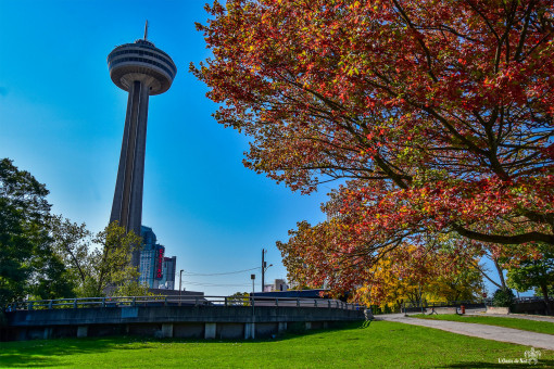 La tour "Skylon", 160 mètres de hauteur, 662 marches