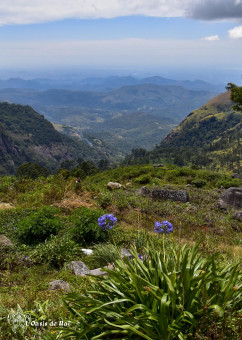 Le massif central tombe à pic vers les plaines du Sud