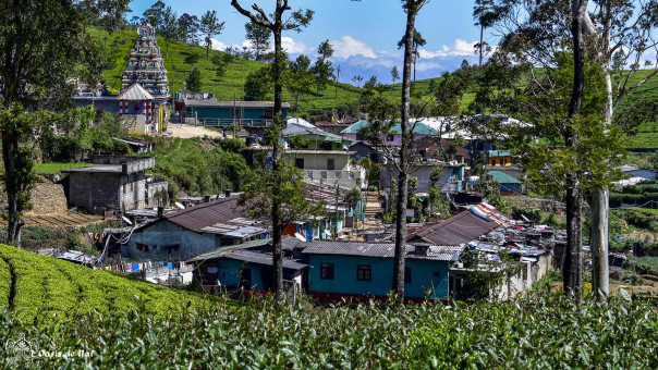 Des maisons minuscules où vivent de grandes familles autour du temple