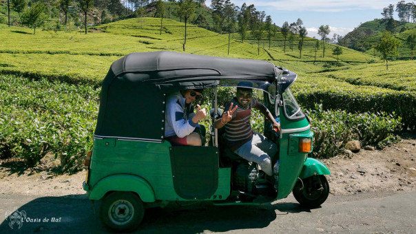 Shesheri, notre chauffeur dans les plantations de thé