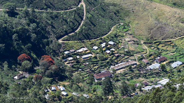 Village ouvrier vu d'en haut