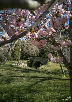 Le pont de pierre d'Amélie