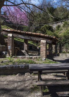 Au lavoir de Palalda, une touche printanière annonce les beaux jours