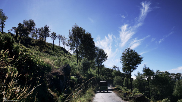 Plantation et ses routes