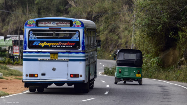 Bus et tuk tuk se font la guerre sur la route