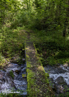 Petit pont de bois, bienvenu dans cette randonnée