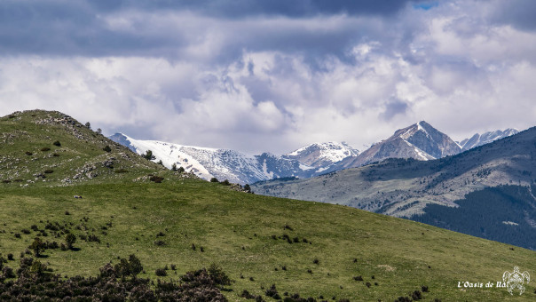 Les estives, pâturages d'été des montagnes des Pyrénées