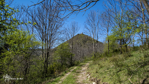 Chemin des Pyrénées orientales, vers la Tour du Mir