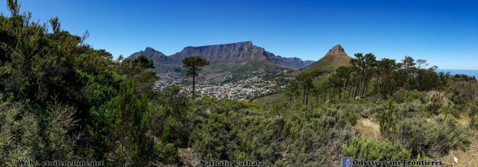 Afrique du Sud Table Mountain Cape Town 20161127_104303