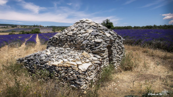 Musarder dans la Lavande
Balade en Provence