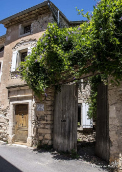 Musarder dans la Lavande
Balade en Provence