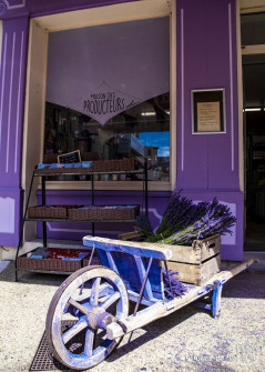 Musarder dans la LavandeBalade en Provence