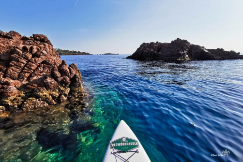 Paddle_Ile des Vieilles_Var_Antheor_Esterel