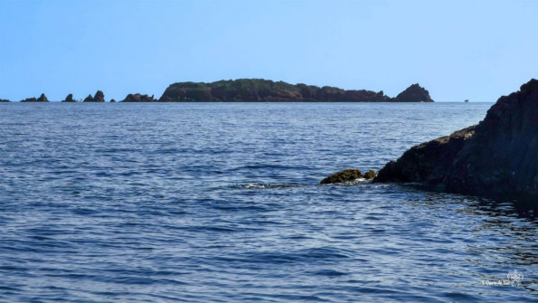 Paddle_Ile des Vieilles_Var_Antheor_Esterel