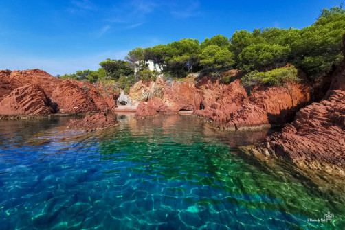 Paddle_Ile des Vieilles_Var_Antheor_Esterel