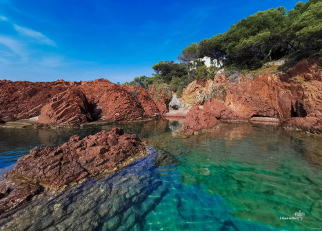 Paddle_Ile des Vieilles_Var_Antheor_Esterel