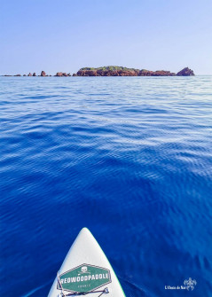 Paddle_Ile des Vieilles_Var_Antheor_Esterel