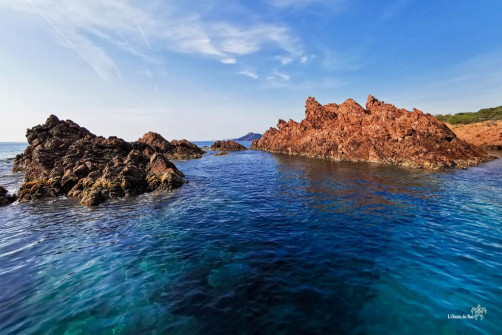 Paddle_Ile des Vieilles_Var_Antheor_Esterel