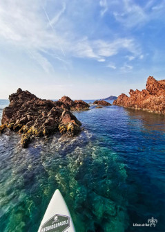 Paddle_Ile des Vieilles_Var_Antheor_Esterel