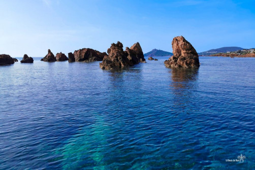 Paddle_Ile des Vieilles_Var_Antheor_Esterel