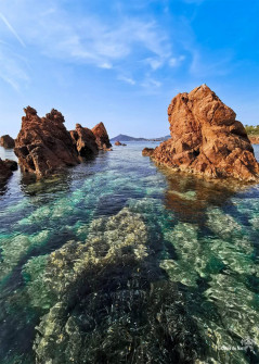 Paddle_Ile des Vieilles_Var_Antheor_Esterel