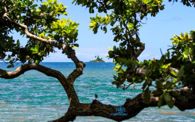 Thio, la « côte oubliée »