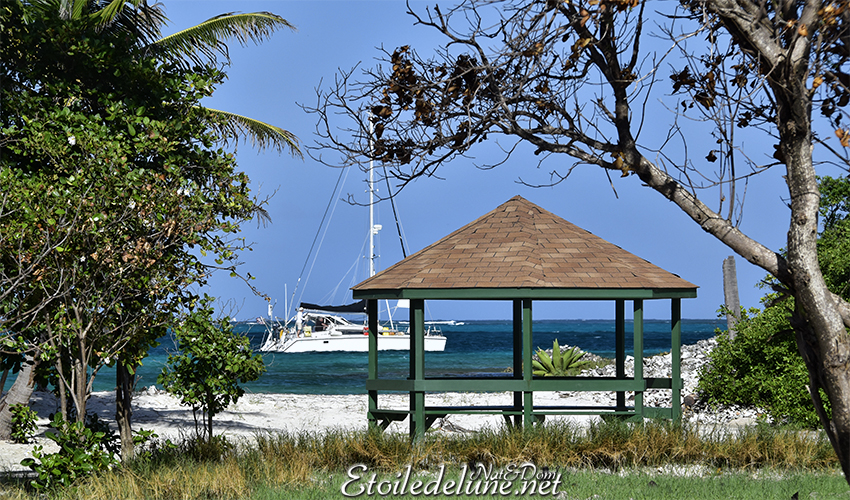 Grenadines (2/4), paysages aux couleurs lagon