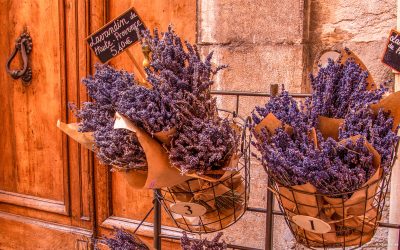 Grasse, une balade le nez en l&rsquo;air …