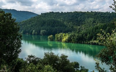 Lac de Saint Cassien