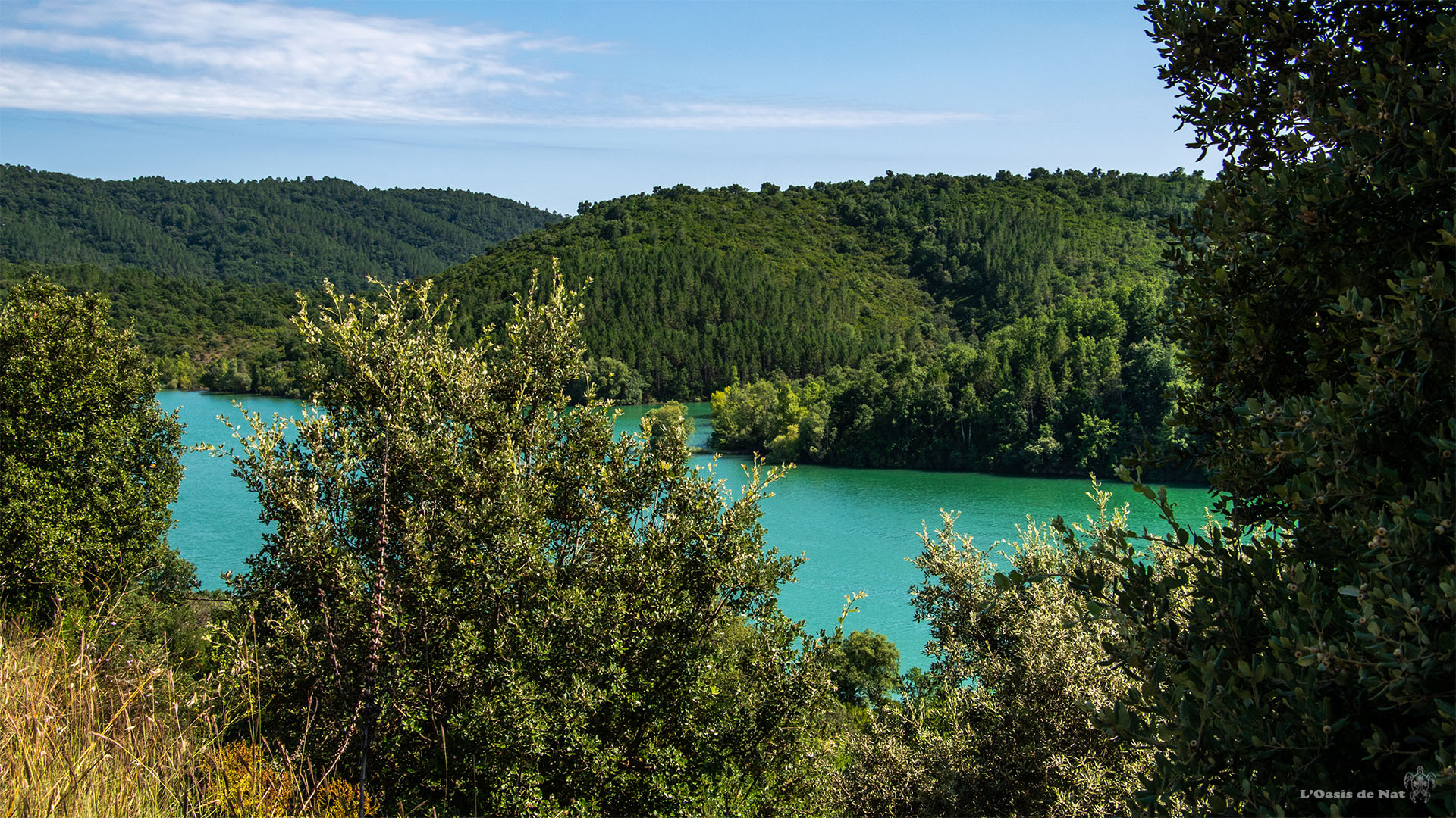 Lac de Saint Cassien_france-Alpes côte d'azur provence_l'oasis de nat (4)