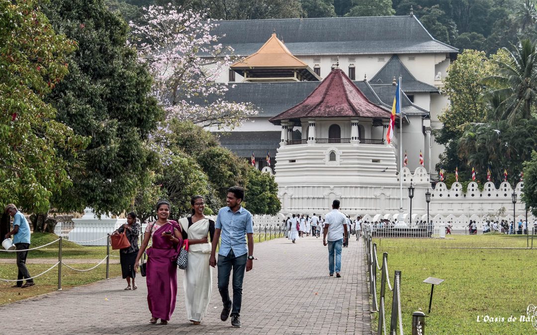 Kandy la dernière cité royale du Sri Lanka