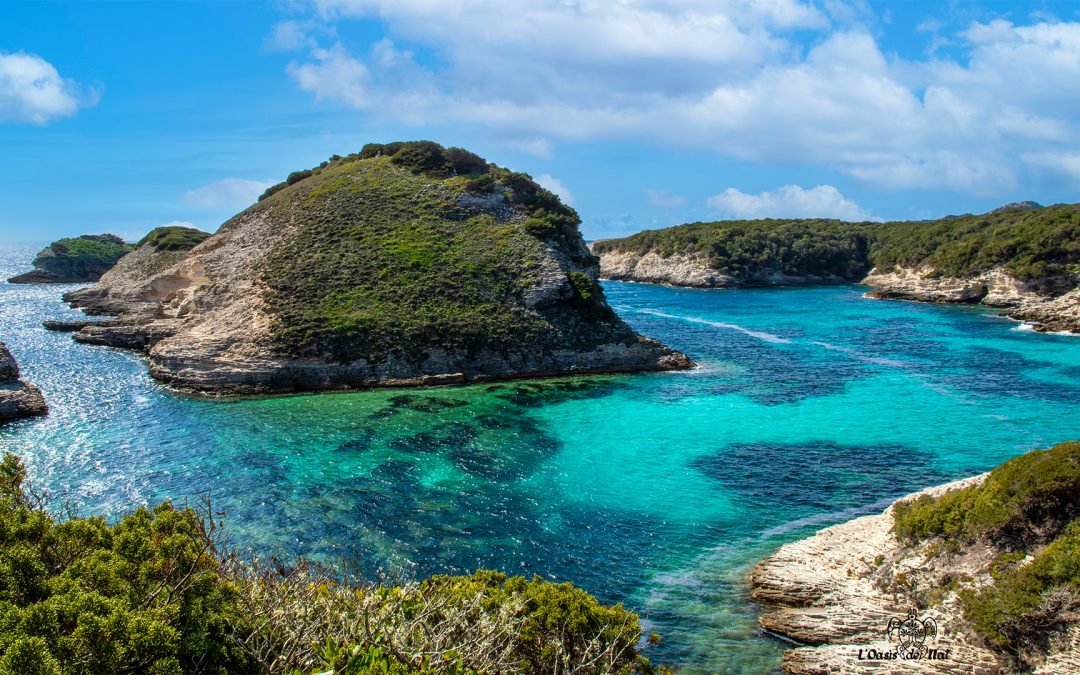 Bonifacio – le sentier des plages – Corse du Sud