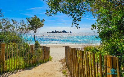 Plage de Tamaricciu-Corse du Sud-Un paradis a contempler sans modération