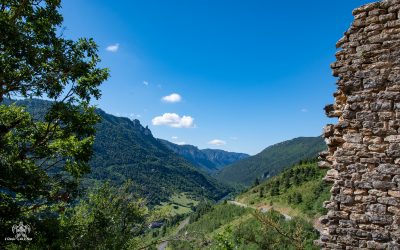 Châteaux Dolan et de Blanquefort – Vigies des Gorges du Tarn – Histoires oubliées d’Occitanie