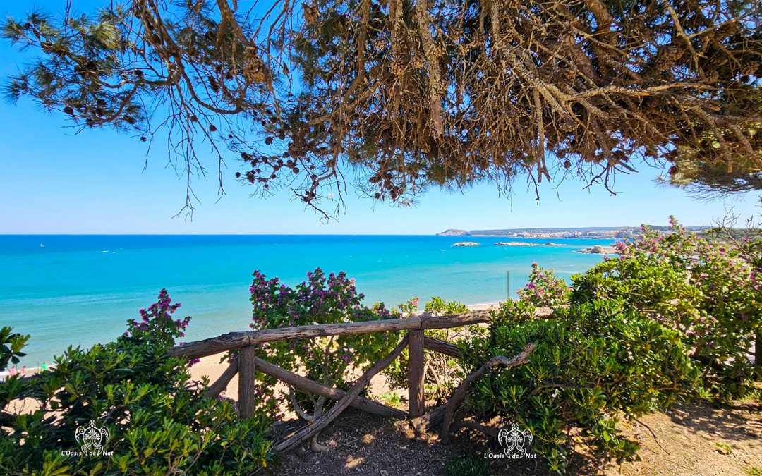 Carnet d’été au fil des Vagues – Ep 10 – De L’Escala à Sant Martí – Costa Brava