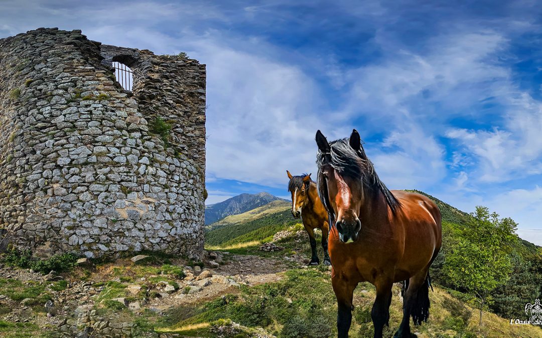 Carnet d’été – Ep 13 – Tour de Batère – Sentinelle du Roussillon