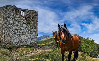Carnet d’été – Ep 13 – Tour de Batère – Sentinelle du Roussillon