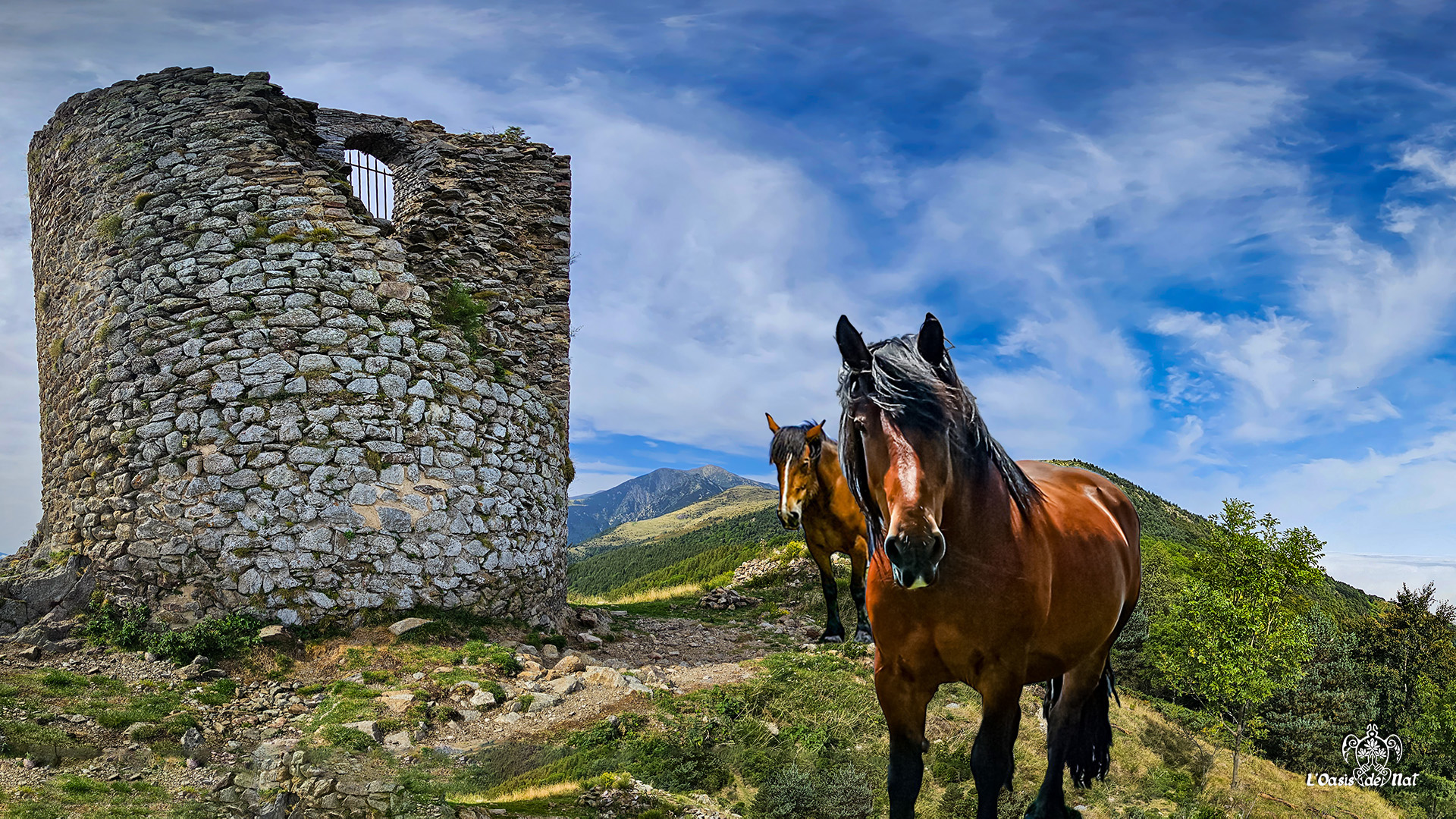 Mer de nuage Batere PO_01__