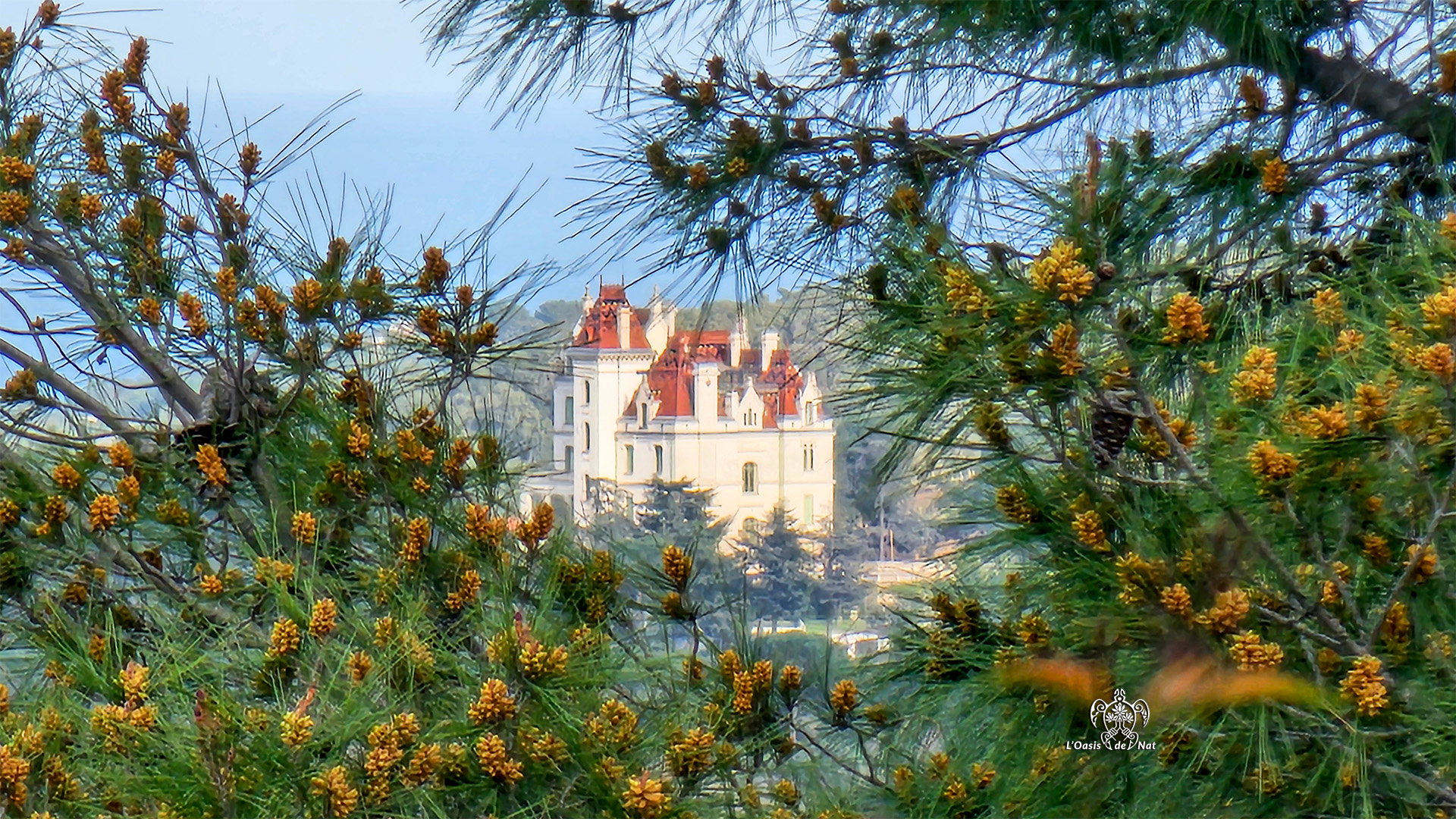 2026_03_ND de vie_Argeles sur Mer_00