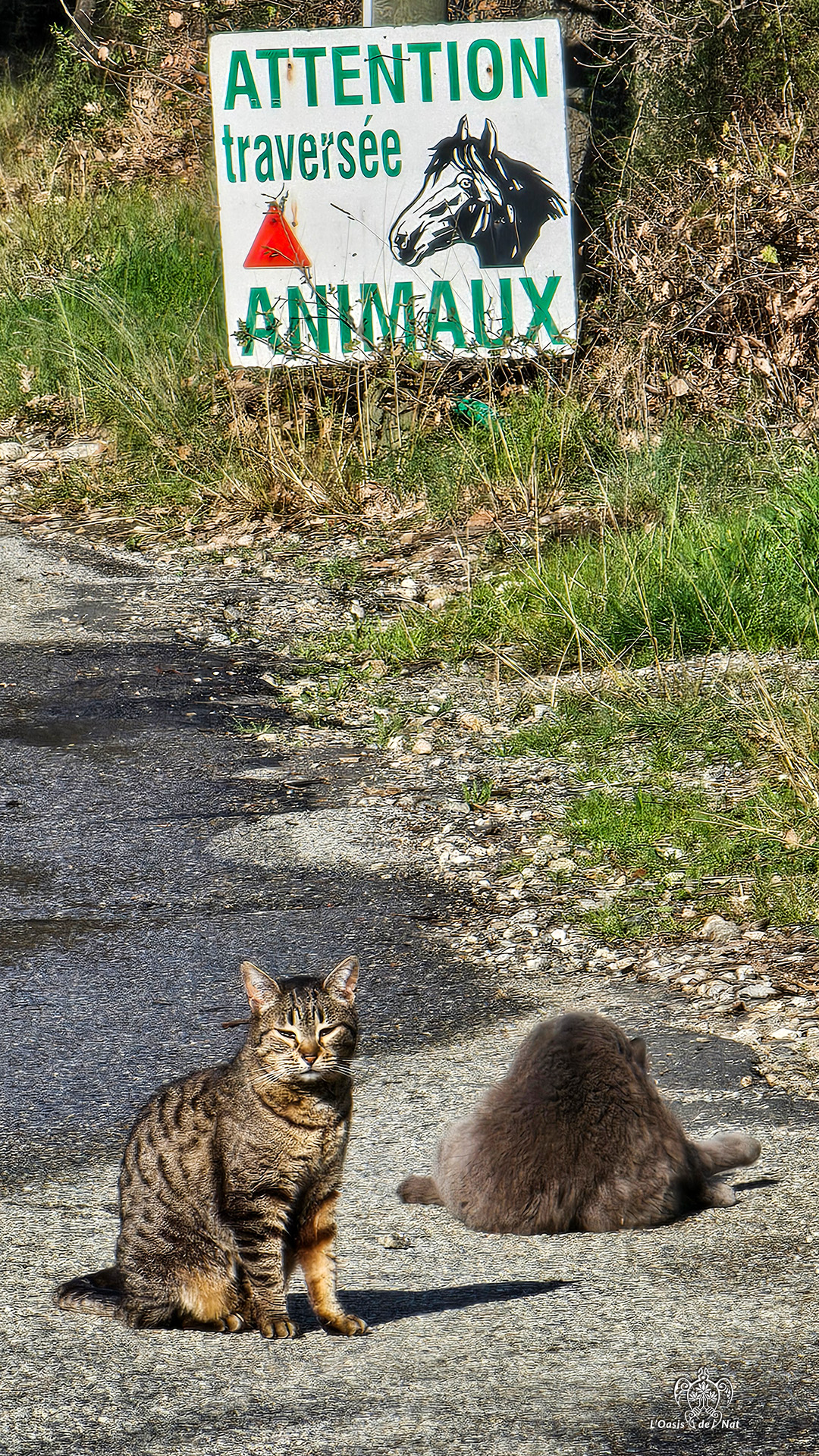 2026_03_ND de vie_Argeles sur Mer_03