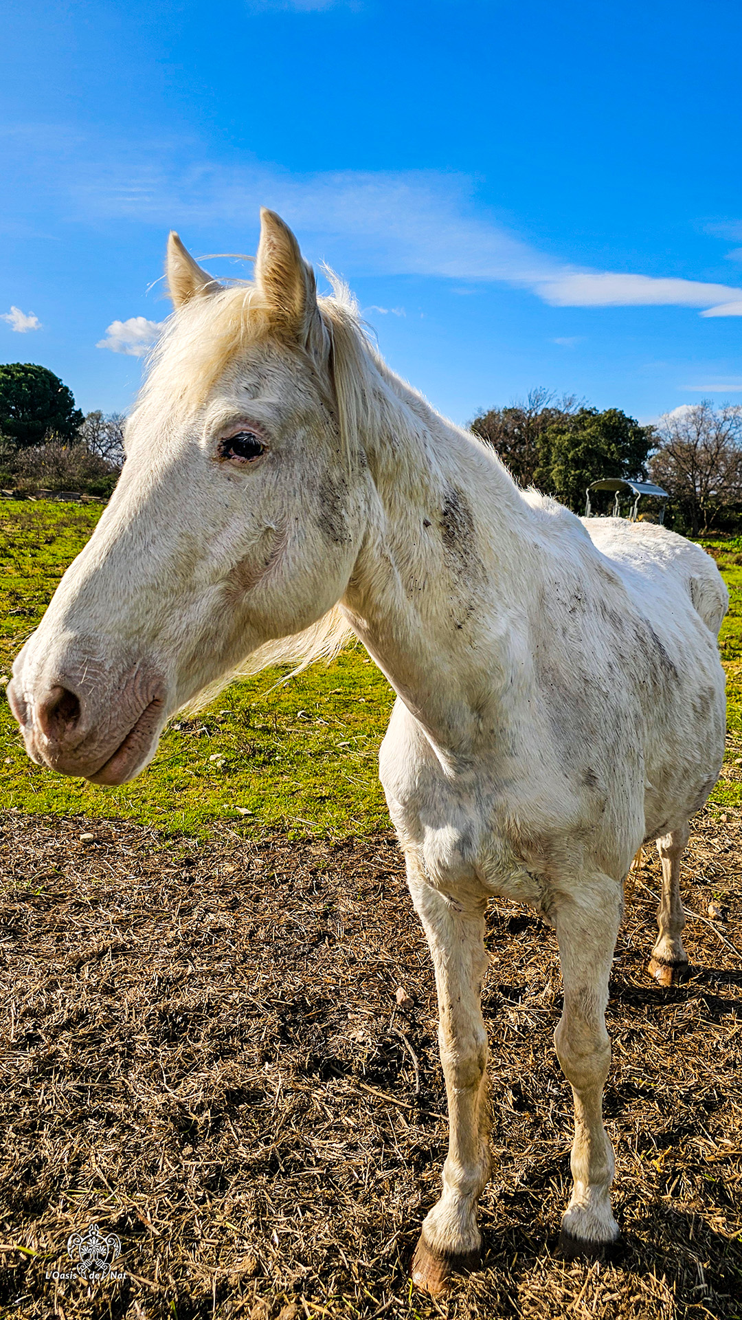 2026_03_ND de vie_Argeles sur Mer_03_