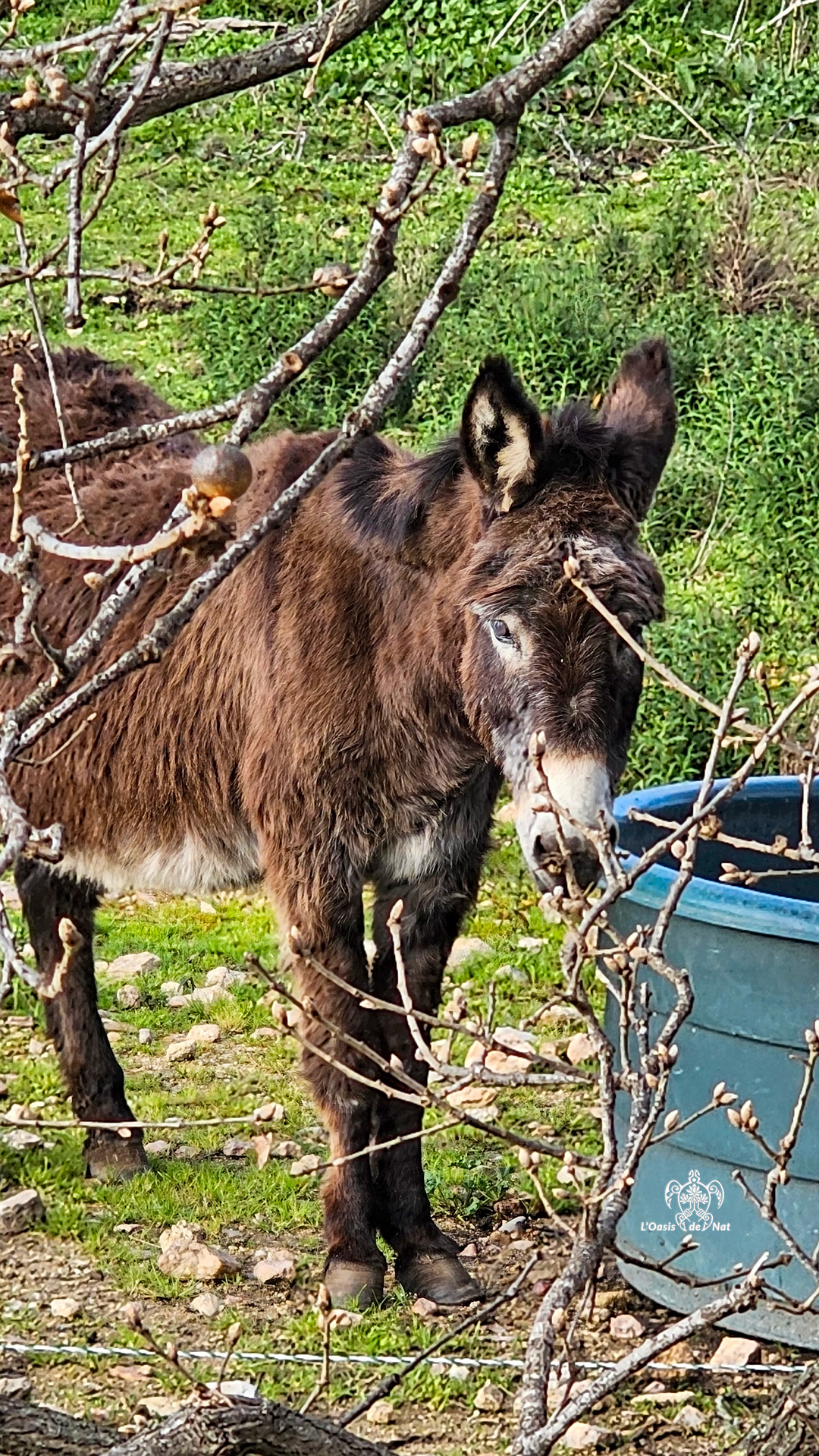 2026_03_ND de vie_Argeles sur Mer_03_8