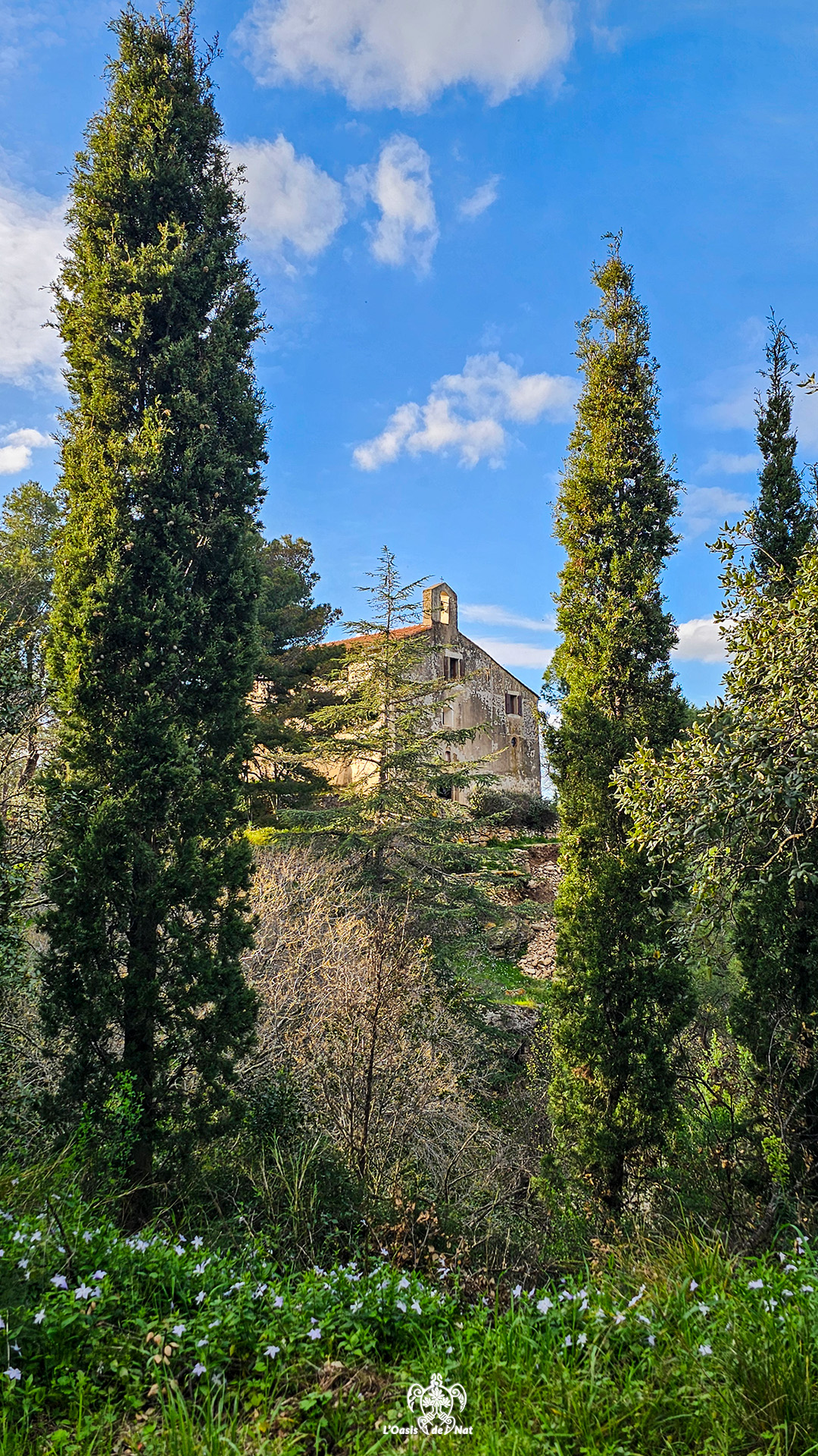 2026_03_ND de vie_Argeles sur Mer_08