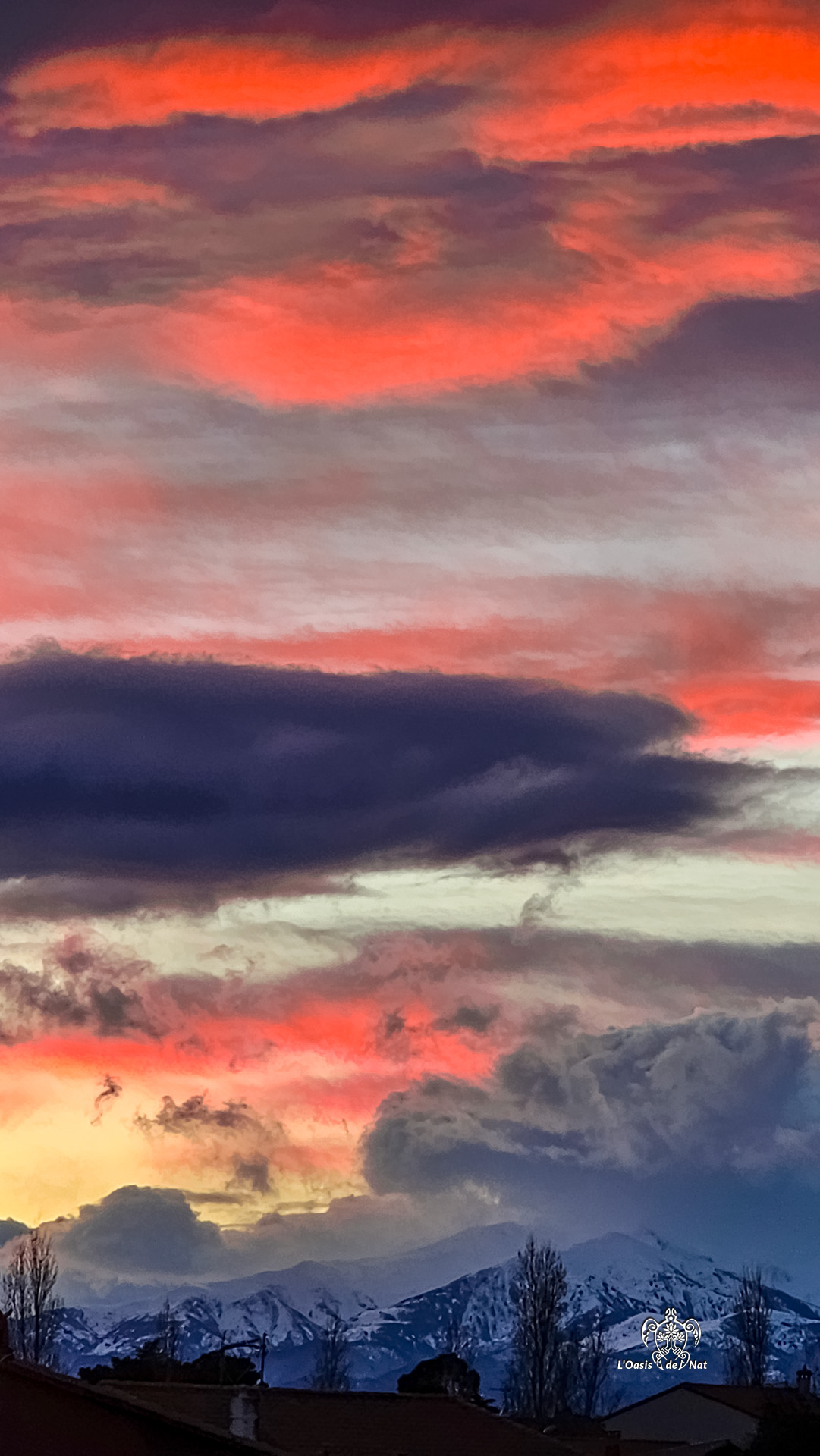 LOASISDENAT_fevrierr2026_001